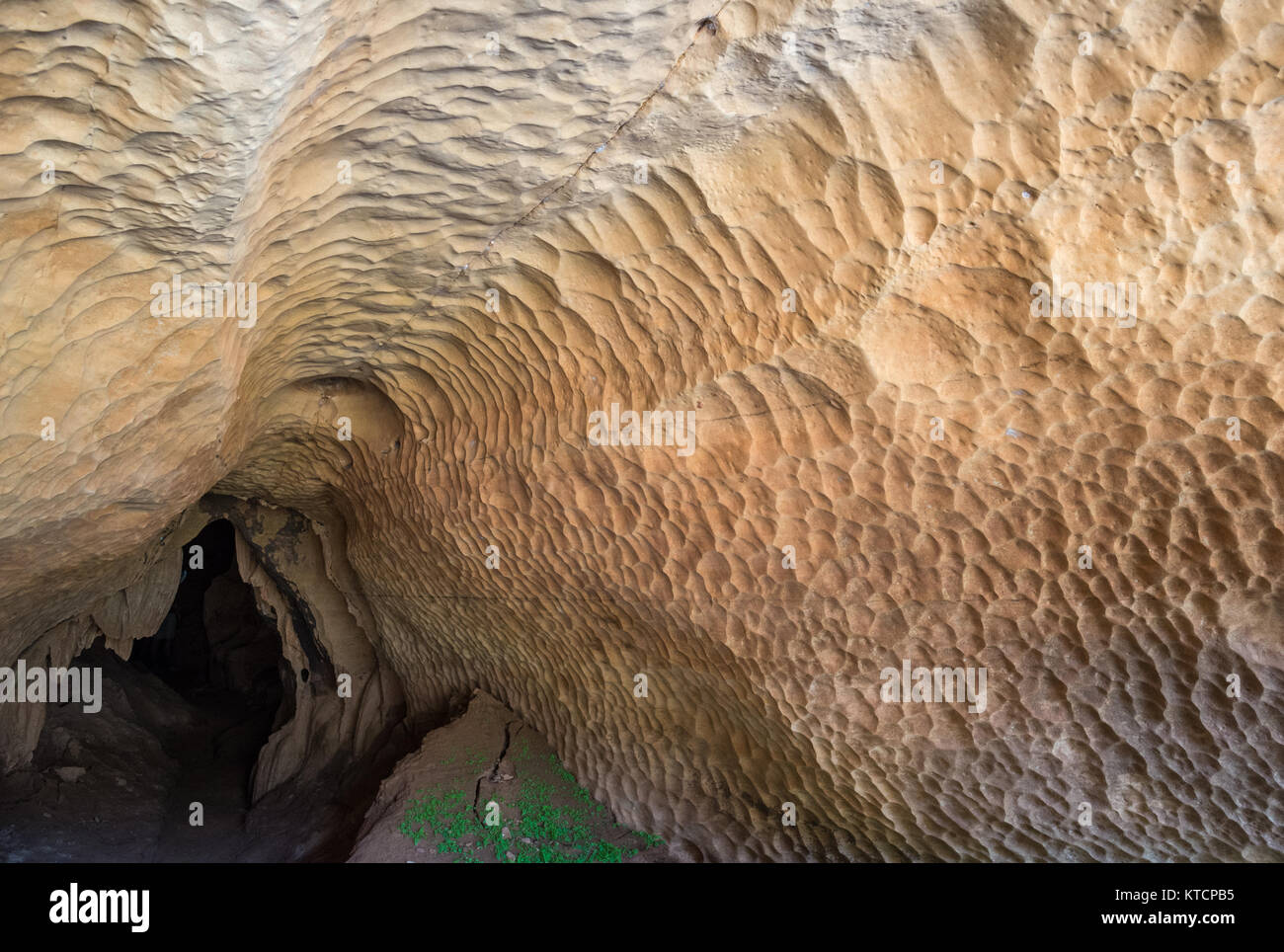 Detailed dissolution texture on the limestone rock wall and ceiling at an entrance of a cave. Tsingy de Bemaraha National Park. Madagascar, Africa. Stock Photo