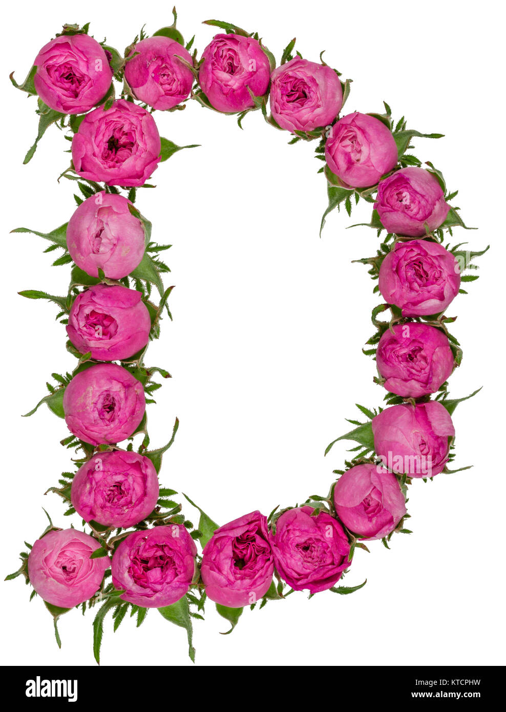 Letter D alphabet from flowers of roses, isolated on white background Stock Photo