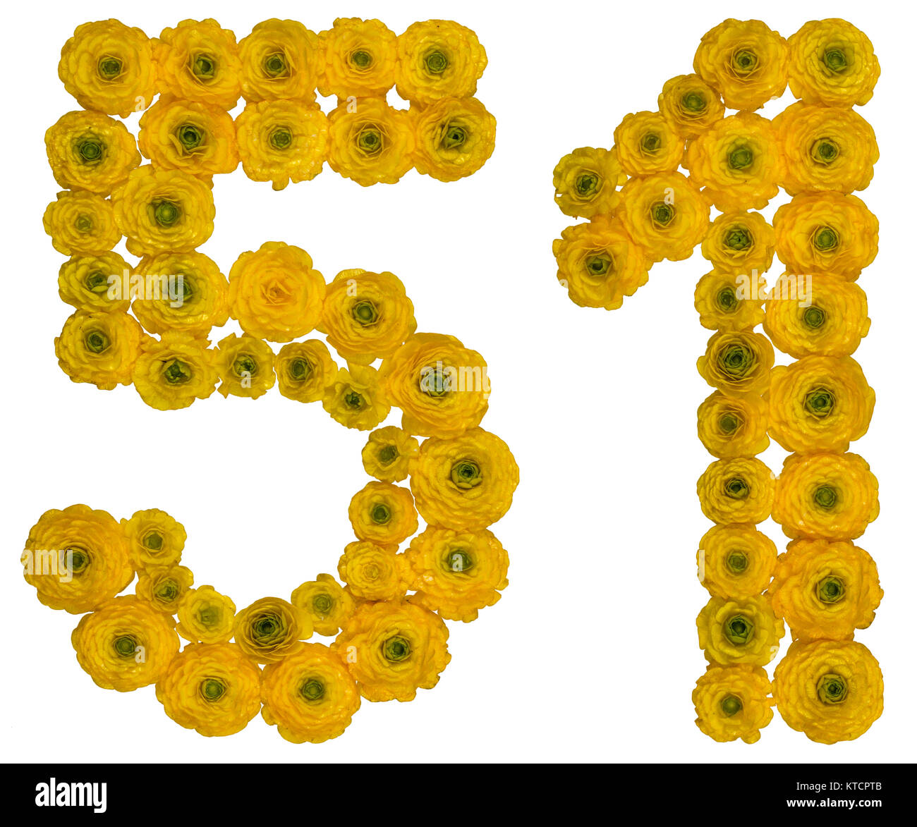 Arabic numeral 51, fifty one, from yellow flowers of buttercup, isolated on white background Stock Photo