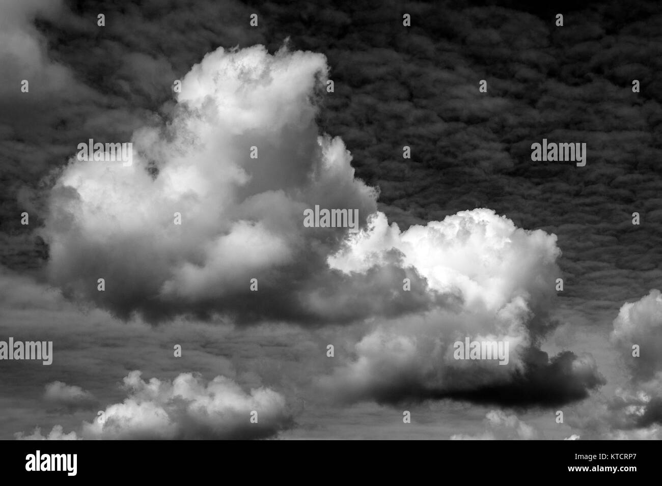 Cumulus congestus clouds with altocumulus clouds at a high elavation Stock Photo