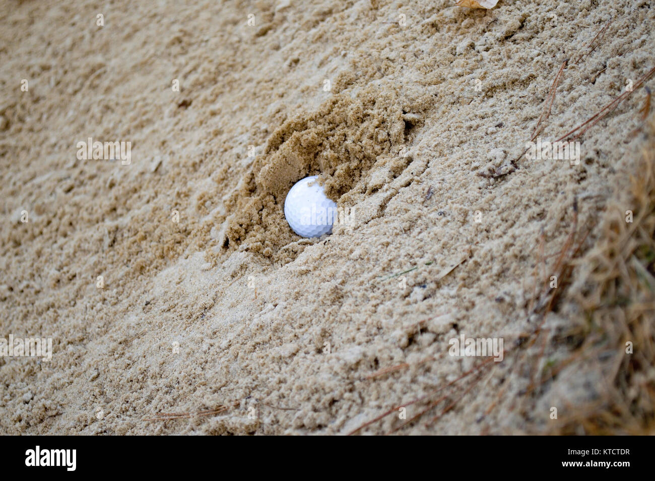 Golf ball buried in sand trap Stock Photo Alamy