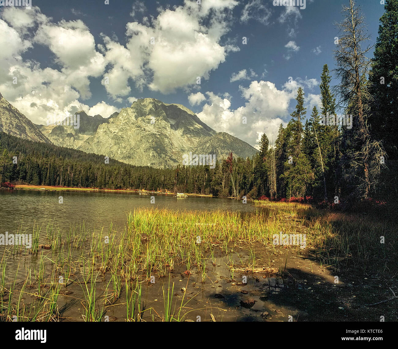 Grand Teton national park landscape in spring, United States of America Stock Photo
