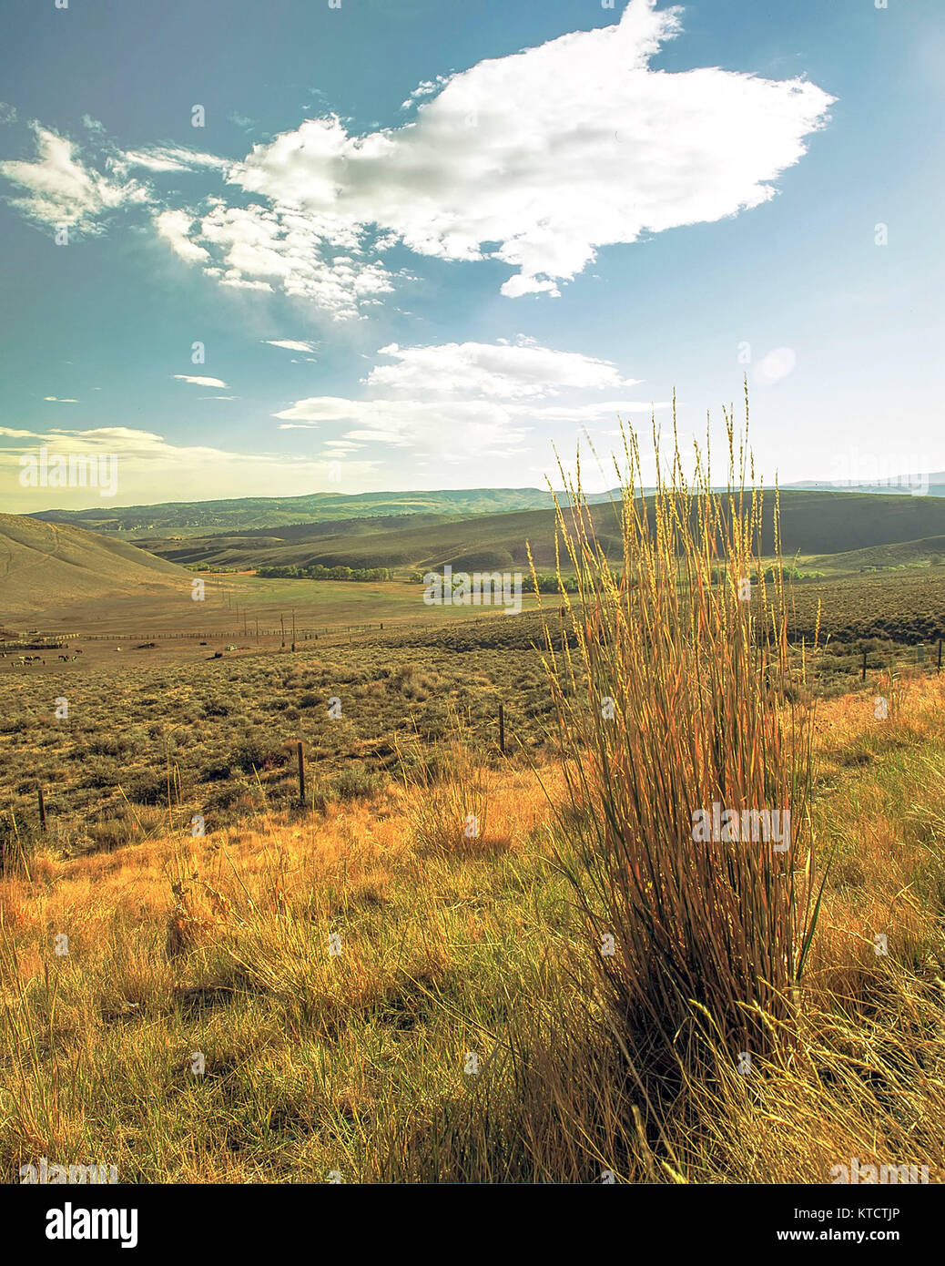Atlantic City landscape, Wyoming, United States of America Stock Photo