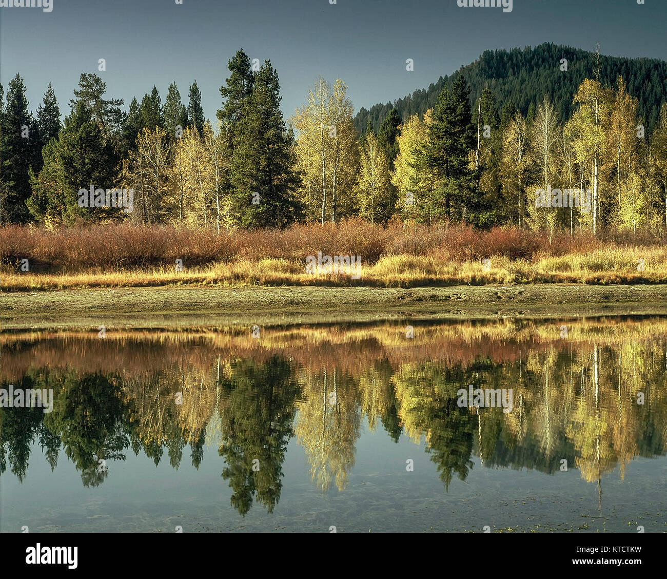 Grand Teton national park landscape in spring, United States of America Stock Photo