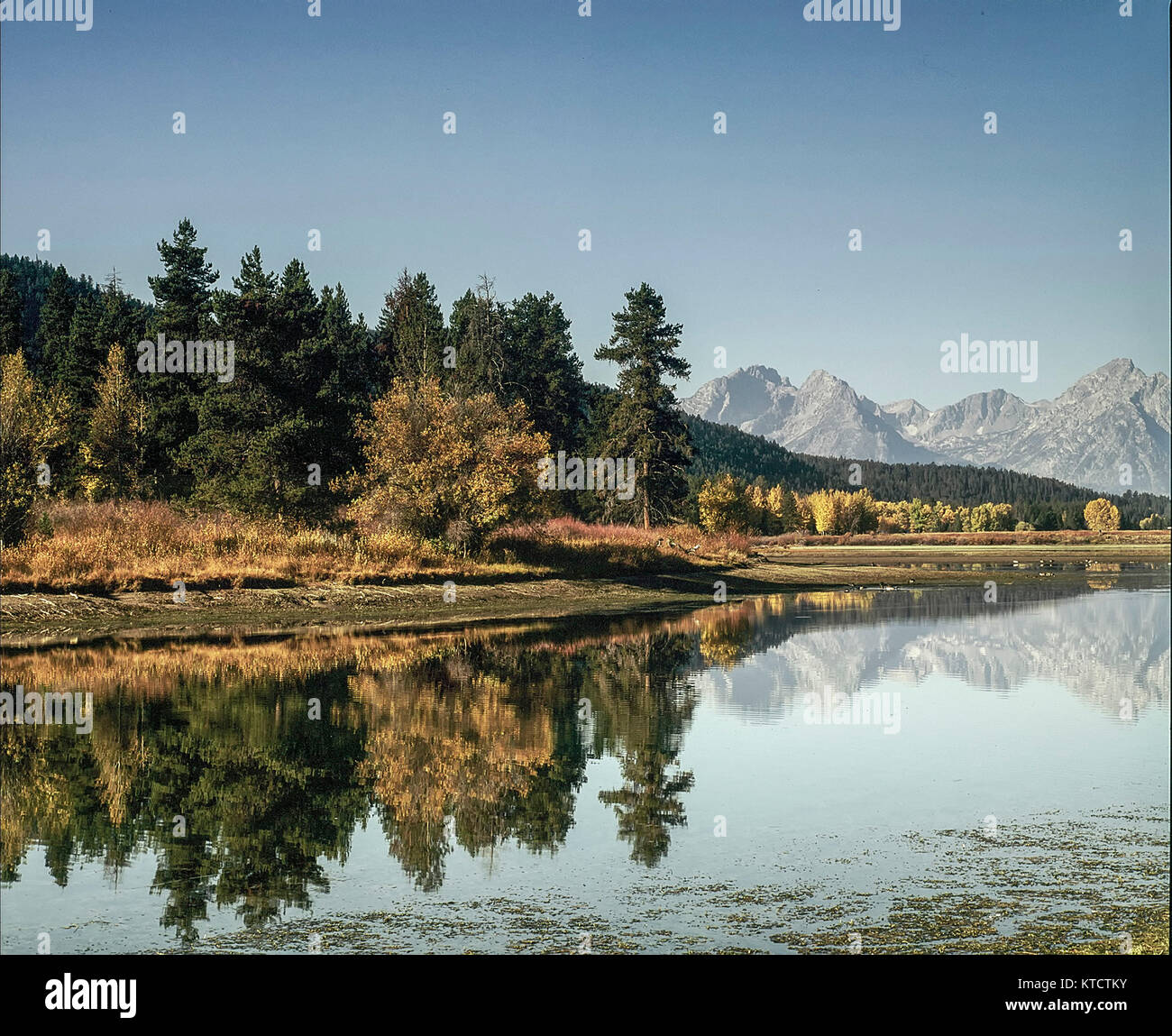 Grand Teton national park landscape in spring, United States of America Stock Photo