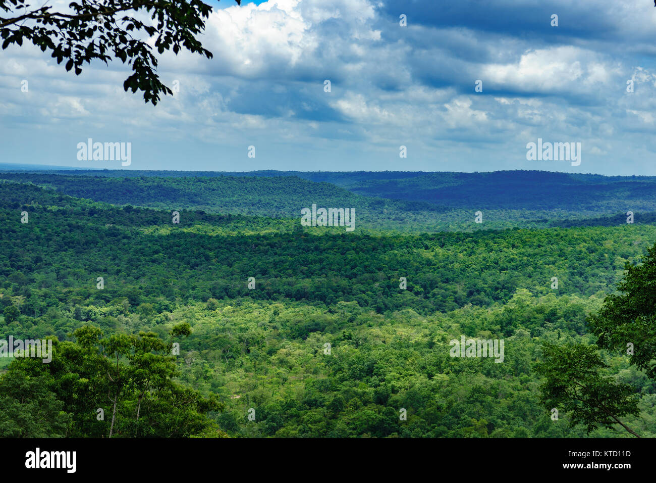 Tree forest Landscape on blue sky background Stock Photo - Alamy