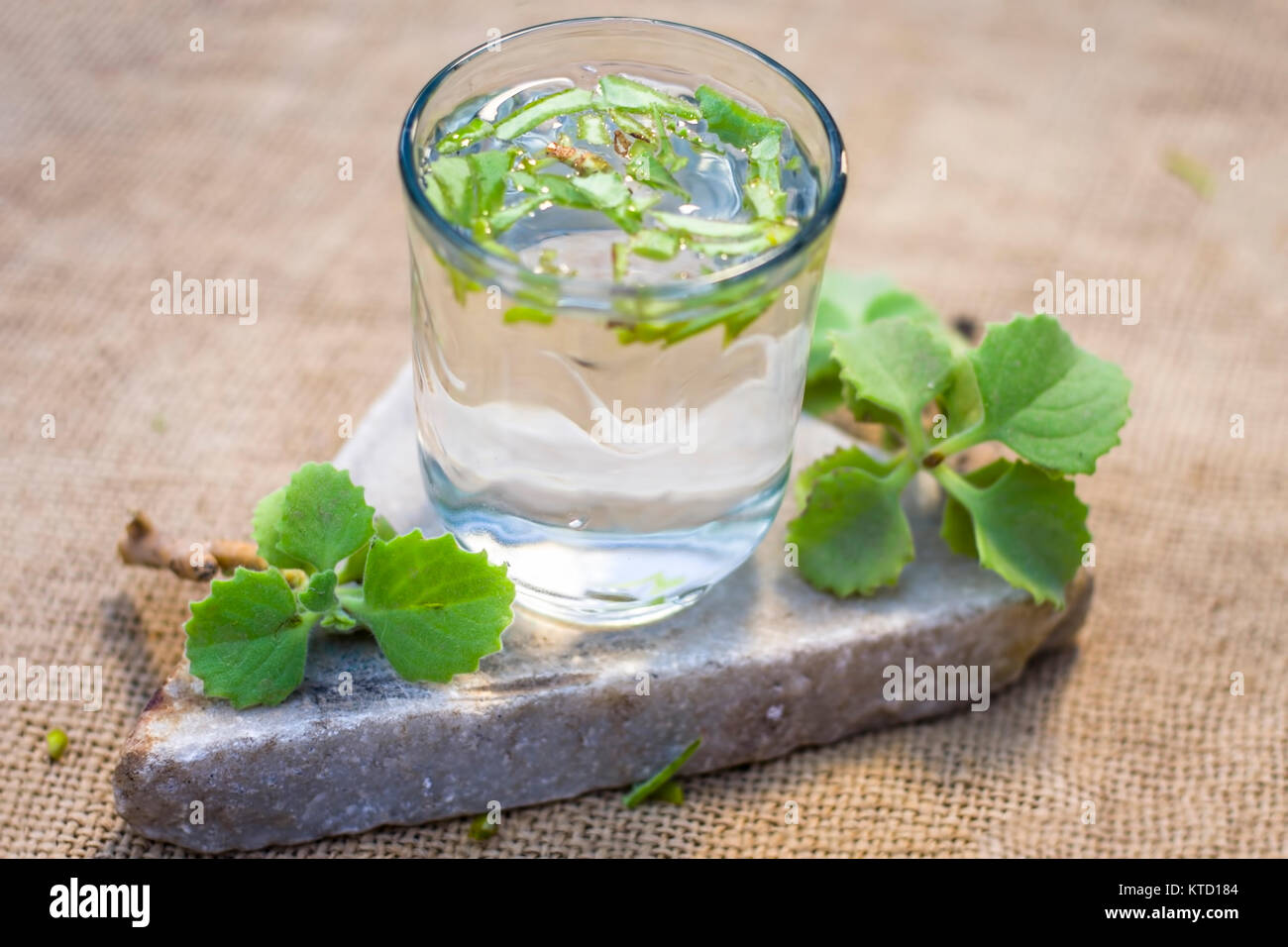 water of ajwain leaves and seeds,Trachyspermum ammi in a glass