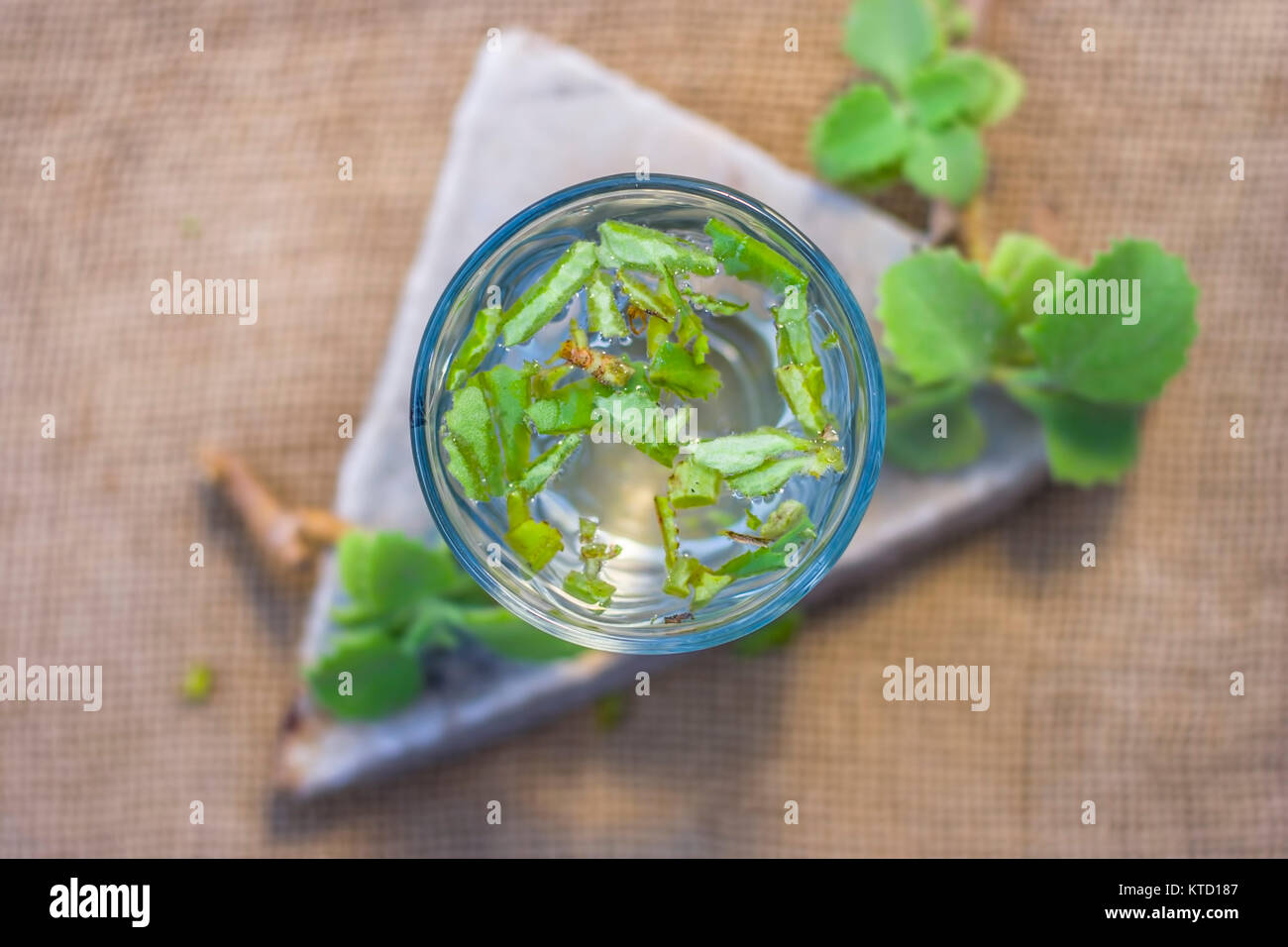 Water of ajwain hires stock photography and images Alamy