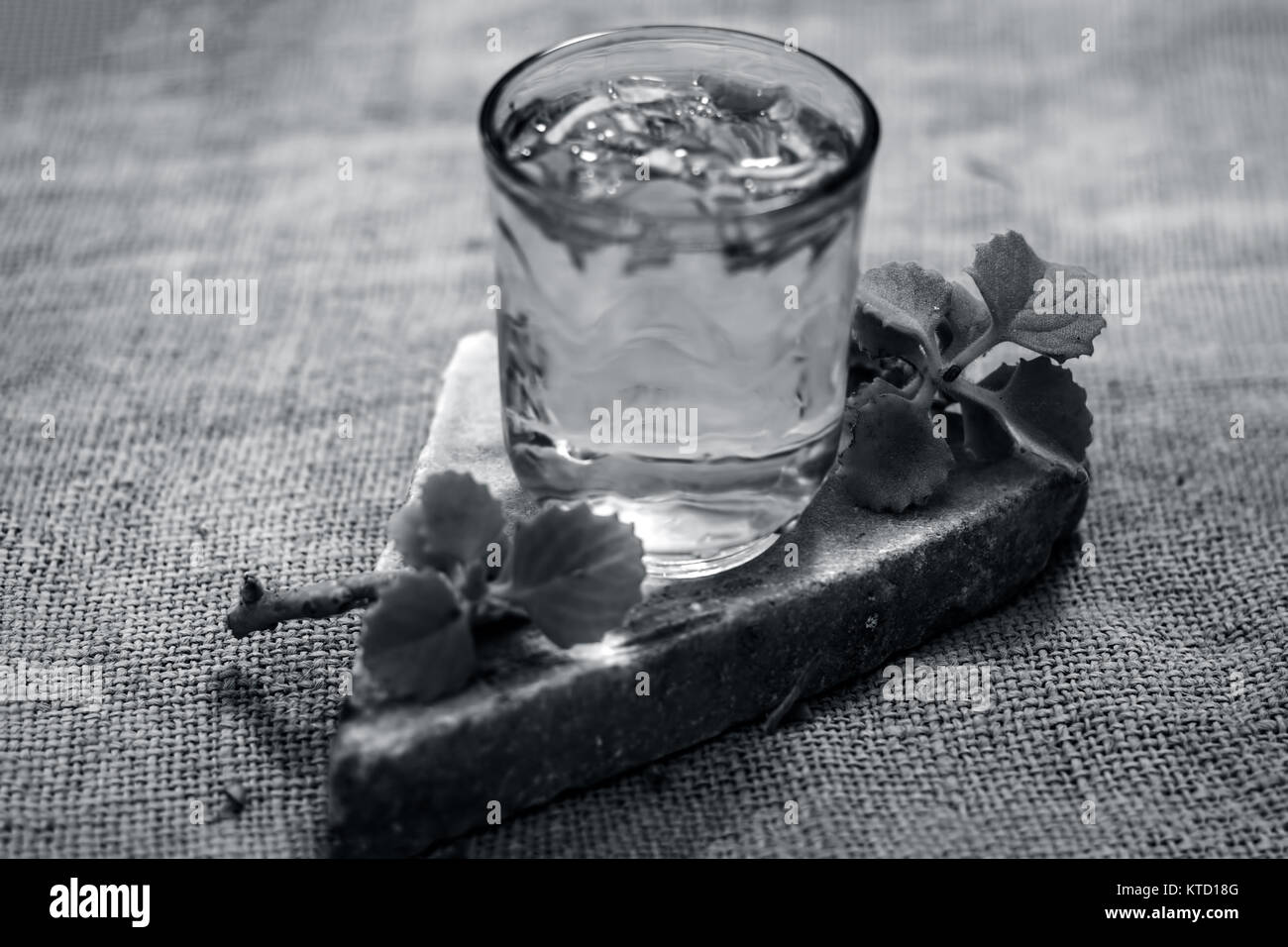 water of ajwain leaves and seeds,Trachyspermum ammi in a glass beneficial for weight loss Stock