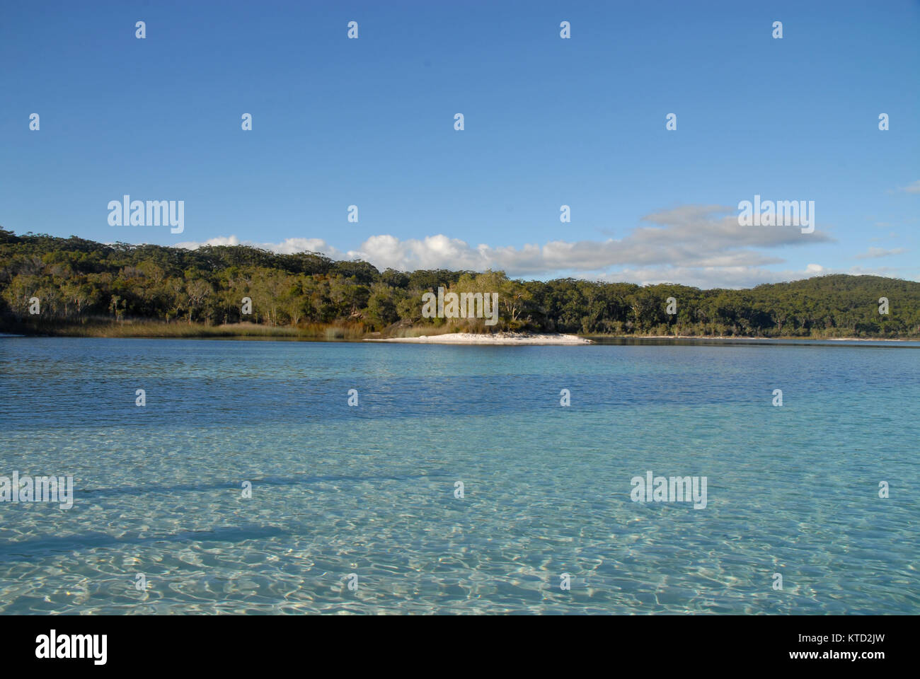 Clear water in Lake McKenzie on Fraser Island, Australia Stock Photo