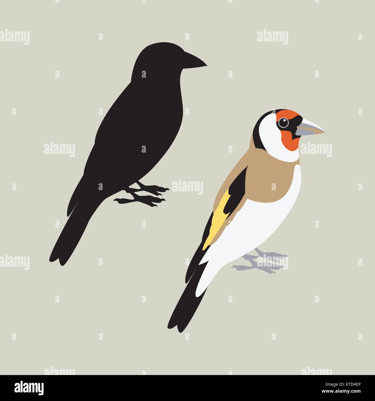 goldfinch bird  vector illustration flat style Stock Vector