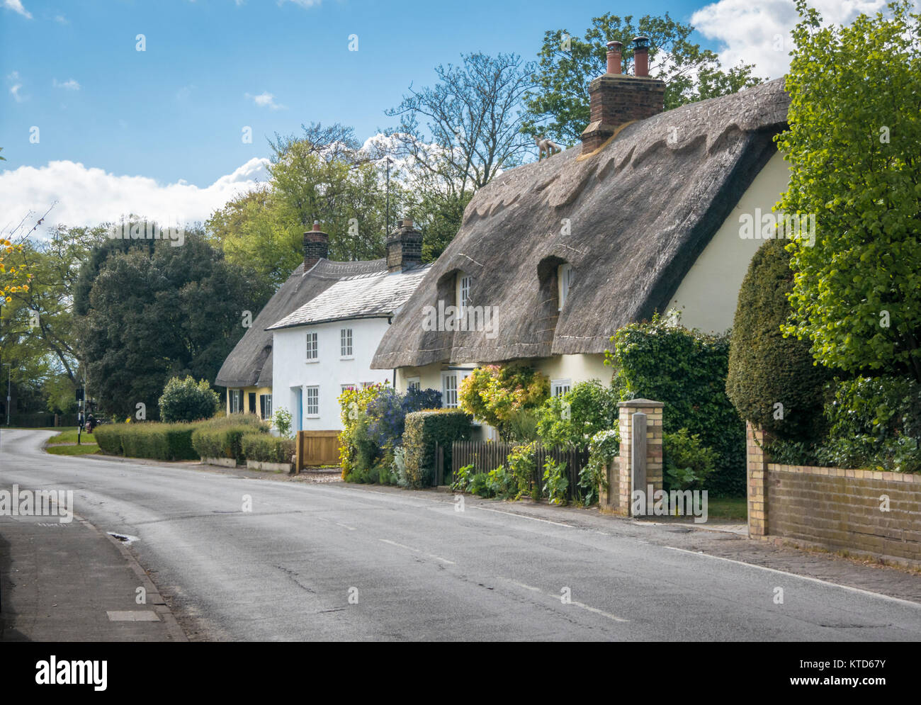 Street view of old thatched cottages in the pretty village of Foxton, Cambridgeshire, England
