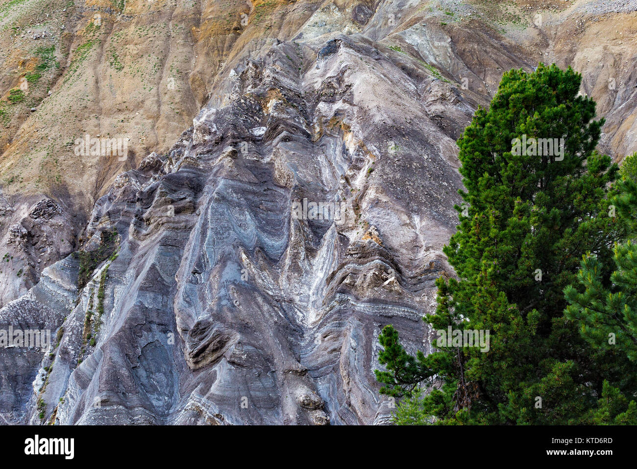 Badlands (calanchi) geomorphological phenomenon. Valle di San Nicolò.   The Dolomites. Stock Photo