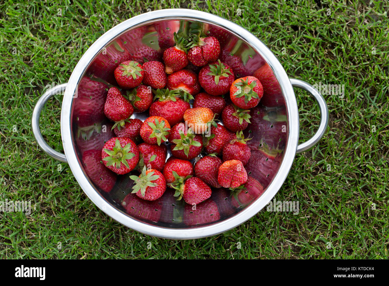 Fresh ripe strawberry Stock Photo - Alamy