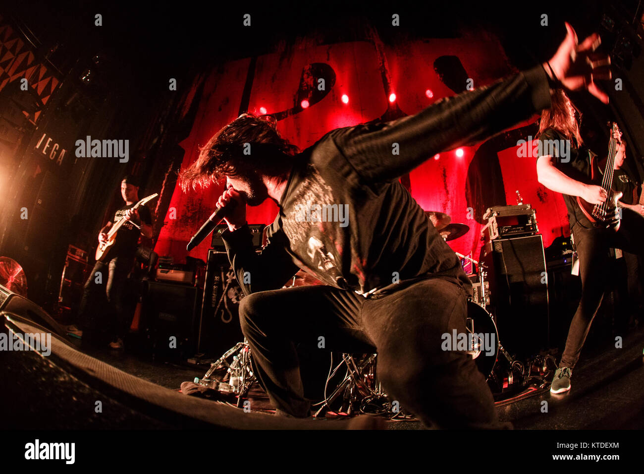 T-shirt Homme Thy Art Is Murder - Carrot Lover Bloodhoof - Coton - Coupe Classique - Impression Recto - 5