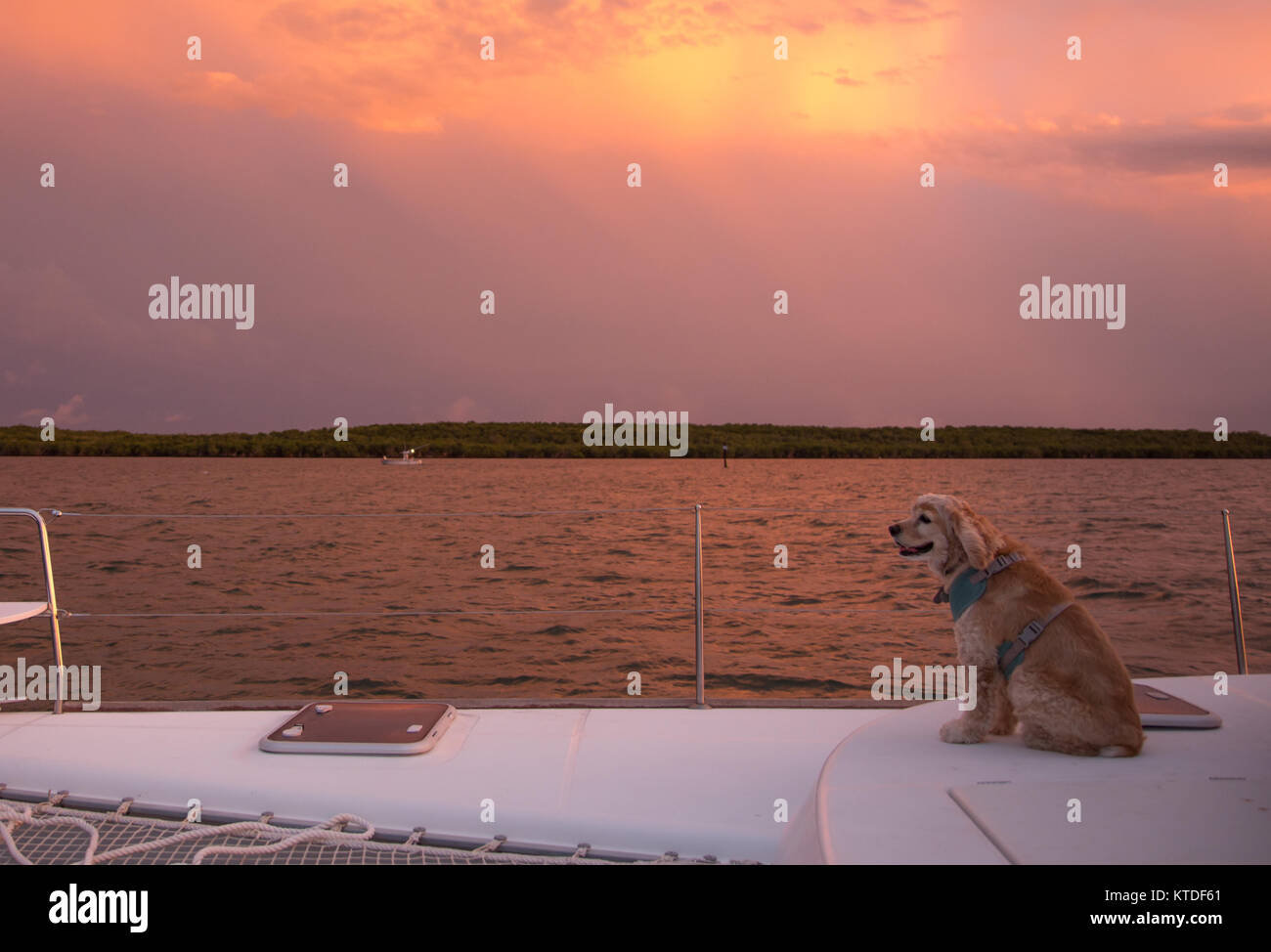 From sailboat hires stock photography and images Alamy