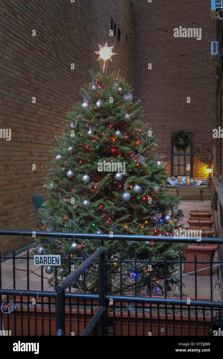 when is the new york city christmas tree lit