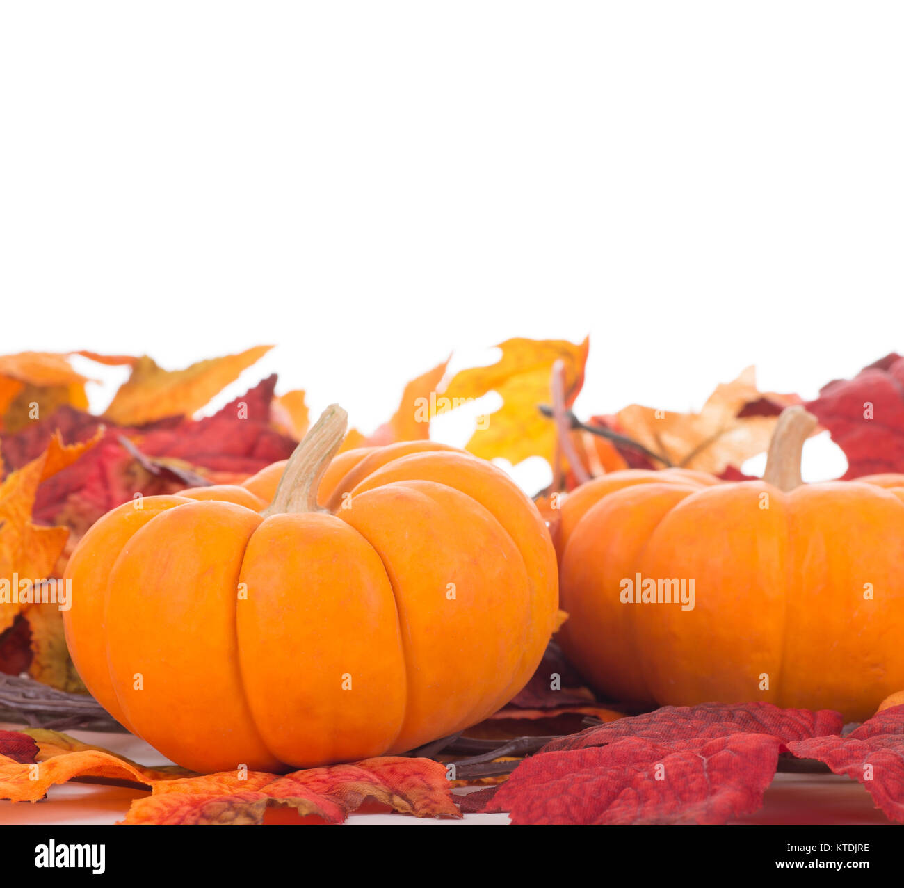 Two mini pumpkins on a white background Stock Photo - Alamy