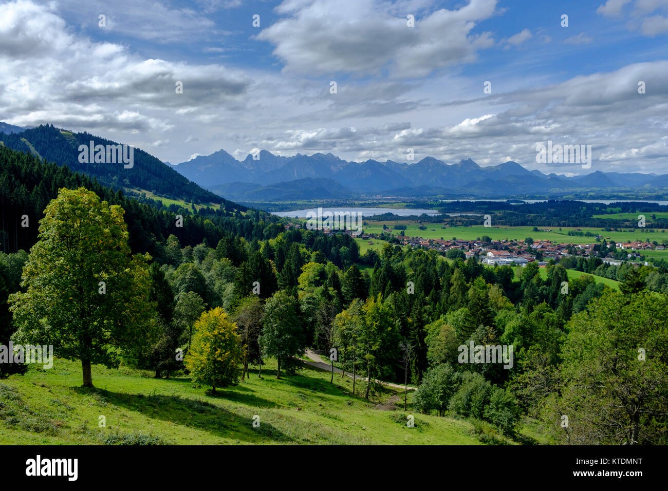 vom Trauchgauer Höhenweg auf den Forggensee, und die Lechtaler Alpen, Trauchgau, Halblech, Ostallgäu, Schwaben,  Bayern, Deutschland Stock Photo