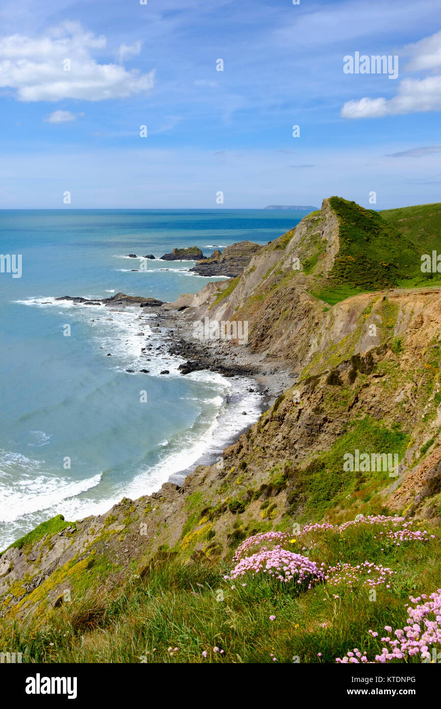 Felsküste bei Hartland Quay, Hartland, Insel Lundy, Devon, England, Großbritannien Stock Photo