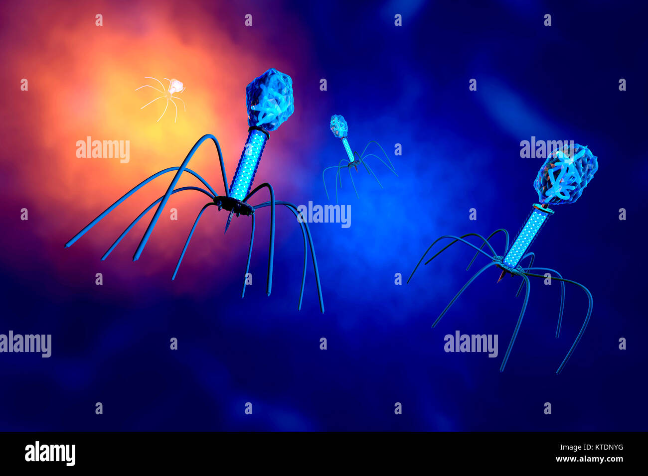 3D rendered Illustration of a anatomically correct convergence to a group of bacteriophage viruses Stock Photo