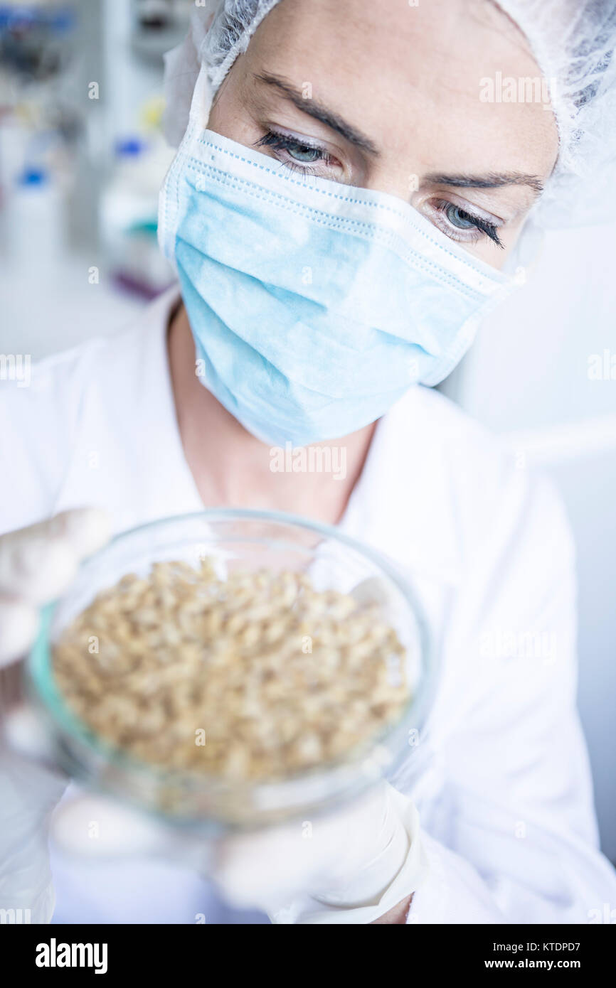 Scientist in lab examining grain sample in petri dish Stock Photo - Alamy