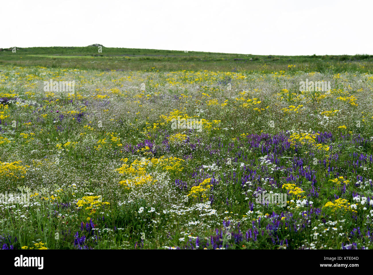 Kars Region Kars plateau hi-res stock photography and images - Alamy