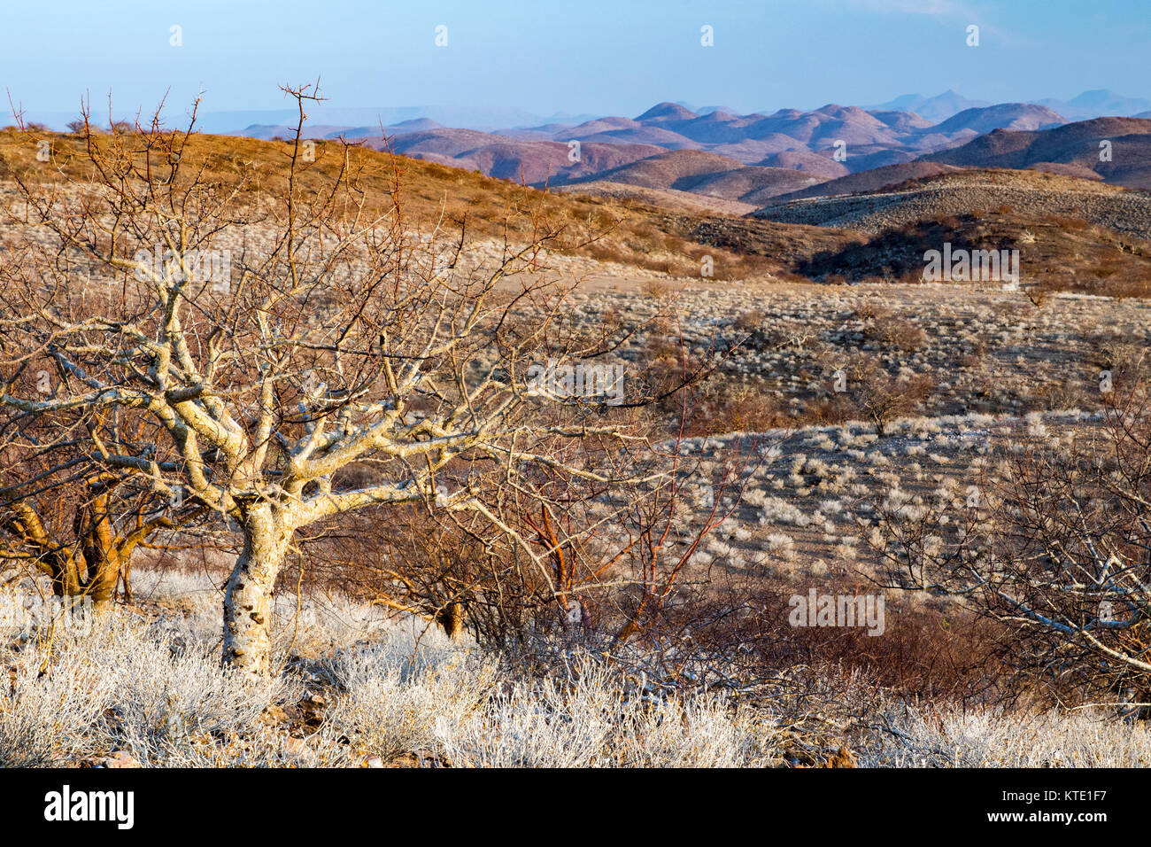 Damaraland Landscape - Huab Under Canvas, Damaraland, Namibia, Africa Stock Photo
