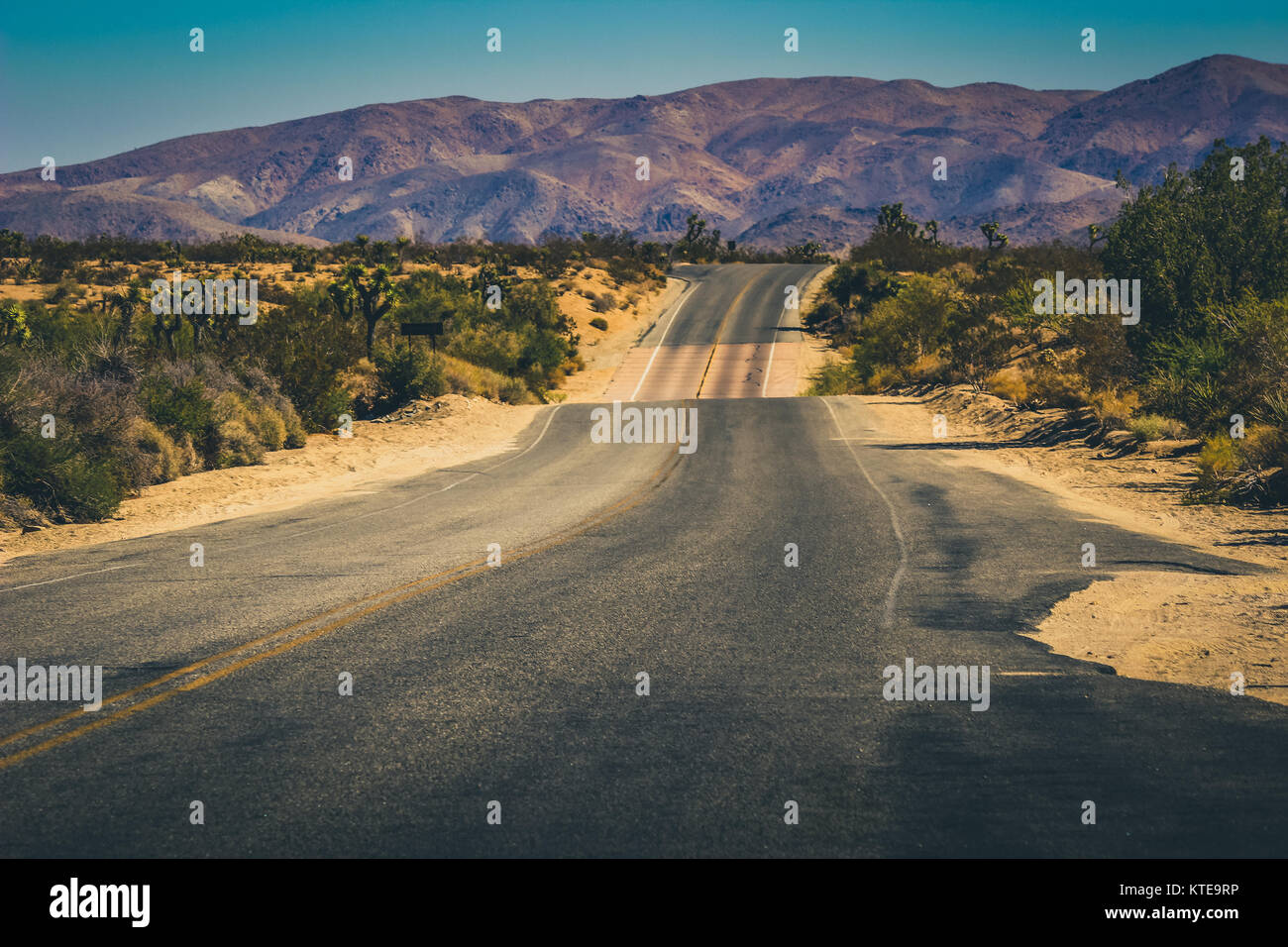 Wide open road in the middle of the desert of Joshua Tree National Park with view of San Bernardino Mountains, Riverside County, California Stock Photo