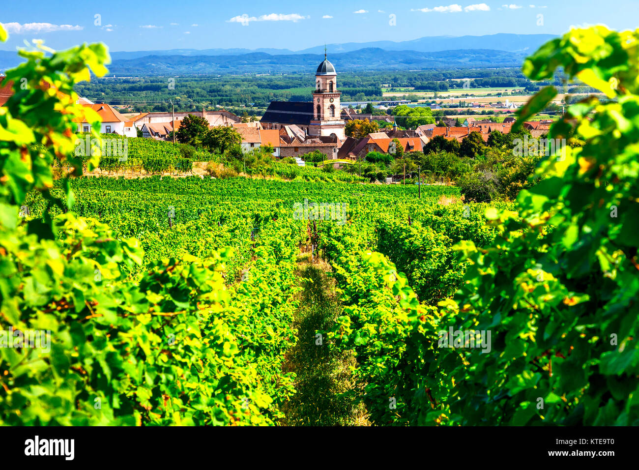 Impressive kayserberg village,view with vineyards,Alsace,France. Stock Photo