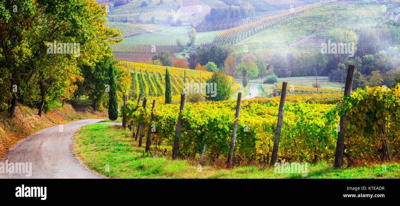 Impressive autumn landscapre,view with colorful vineyards,Piemonte,Italy. Stock Photo
