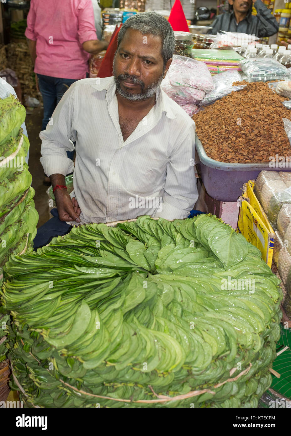 Betel leave hi-res stock photography and images - Alamy