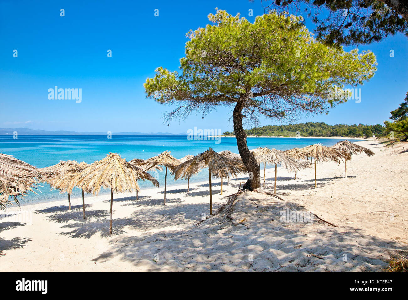 Beautiful Paradiso sand beach on Akra Glarokavos, Kassandra peninsula, Hakidiki, Greece. Stock Photo