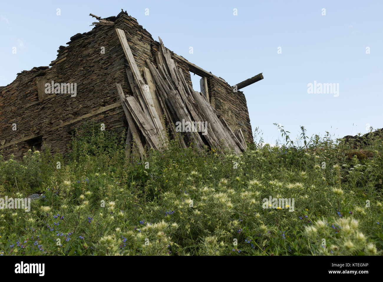 abandoned house amid wildflowers in the remote mountain village of Omalo in the Tusheit region of Georgia Stock Photo