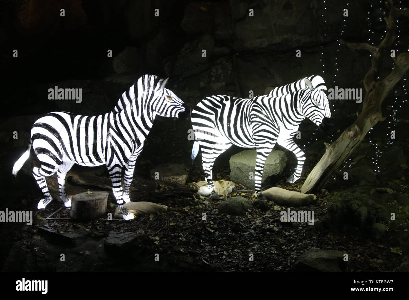 Zebra mannequin at the Chinese light festival Stock Photo