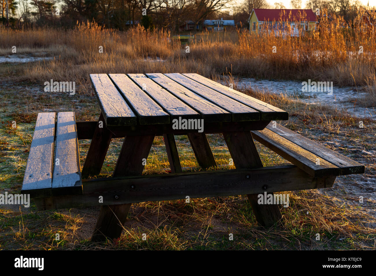 Wooden outdoor bench and table on a cold morning. Frost cover the wooden surface. The morning sunshine has started to thaw the ice. Stock Photo