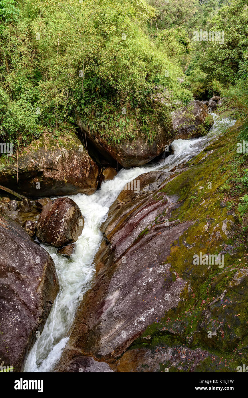 River among the rocks and the natural vegetation of the brazilian rainforest in Itatiaia, Rio de Janeiro Stock Photo