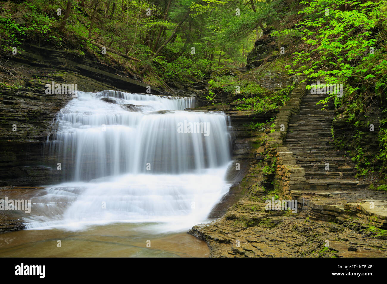 Buttermilk Falls State Park, Ithaca, Finger Lakes, New York, USA Stock