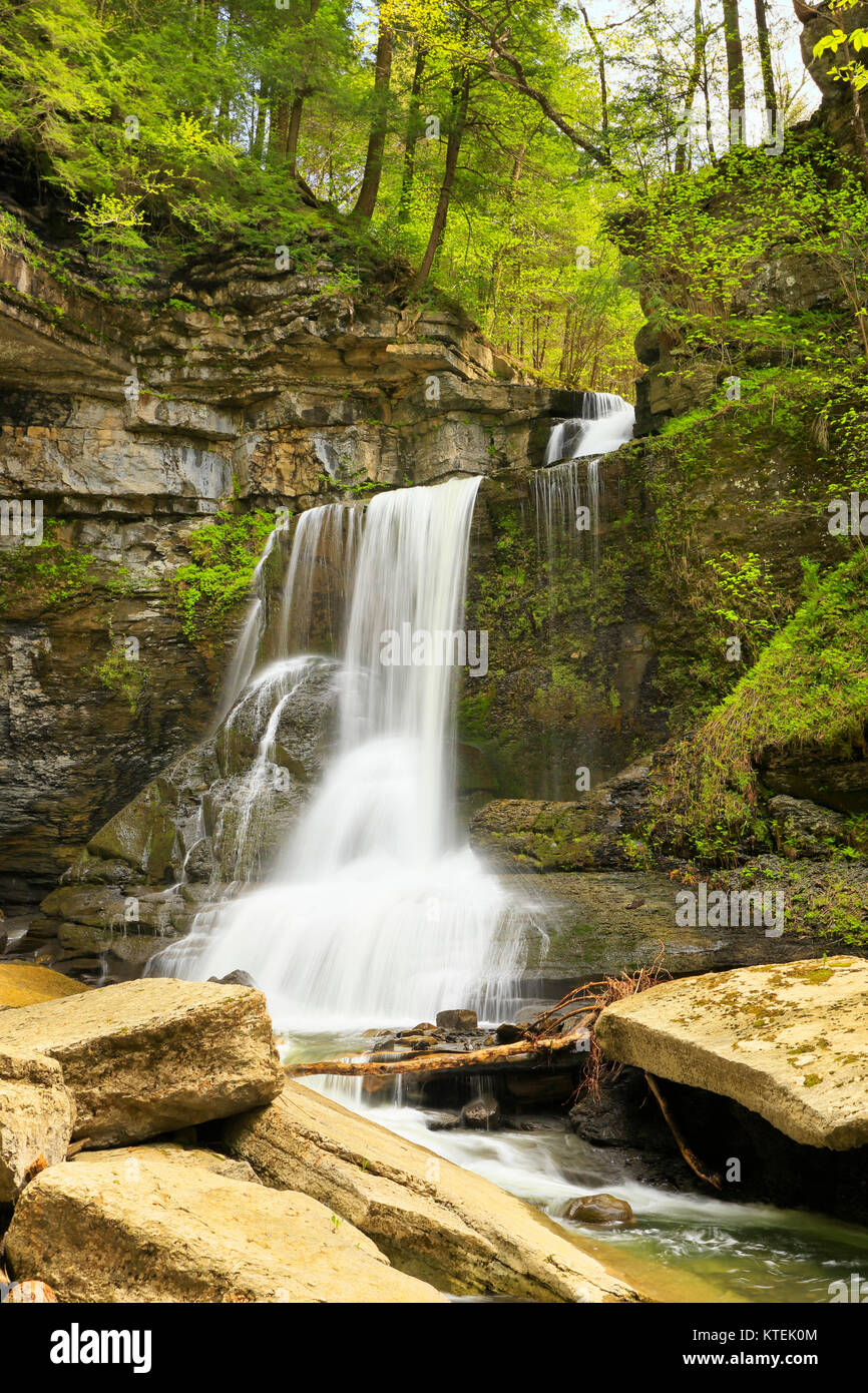 Cow Sheds Falls, Filmore Glen State Park, Finger Lakes, Moravia, New