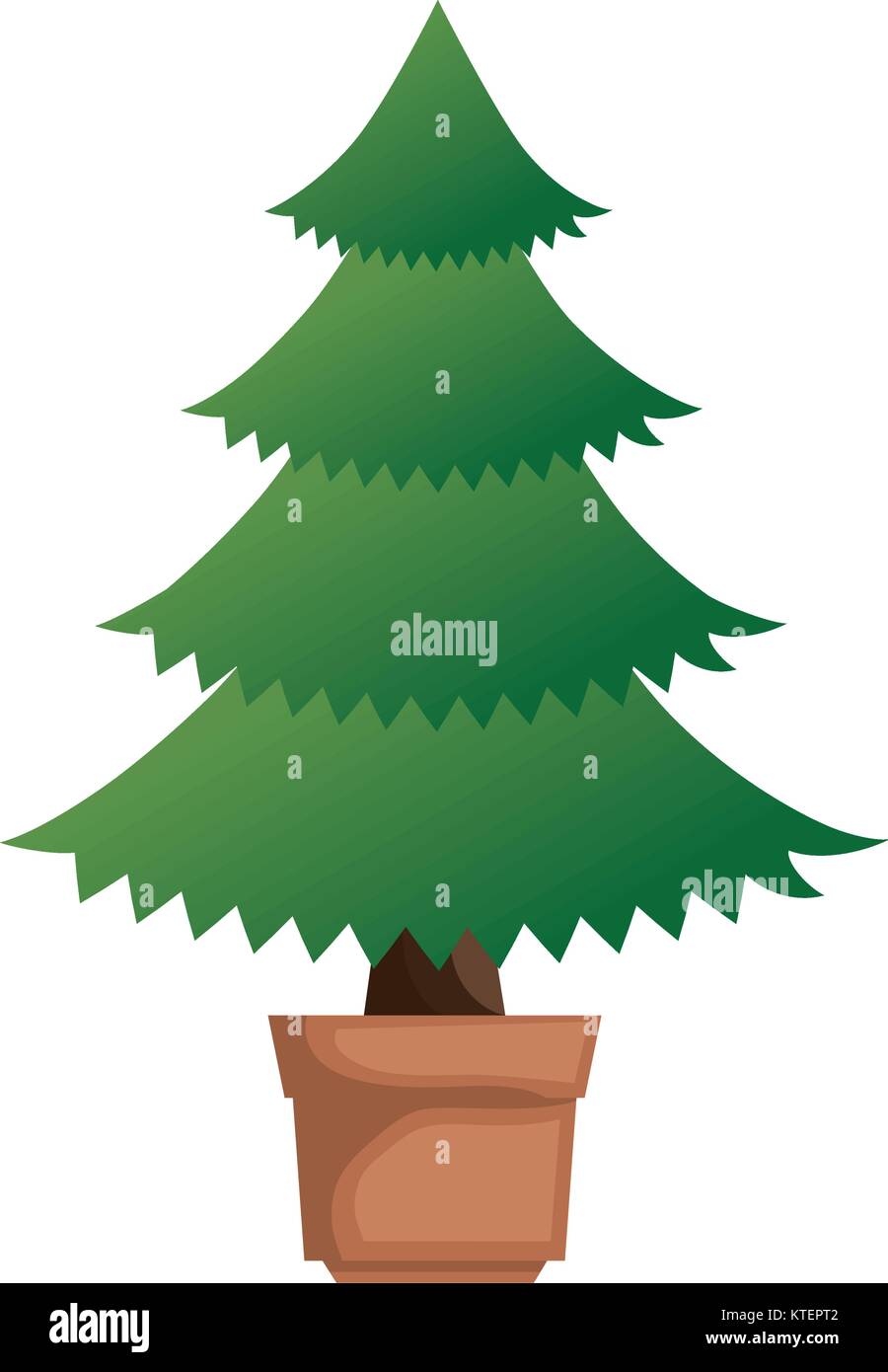 pine tree plant in pot vector illustration design Stock Vector Image ...