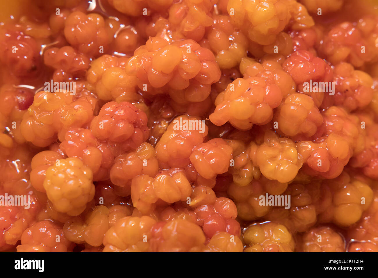 Cloudberries jam, jam, molter, multer Stock Photo