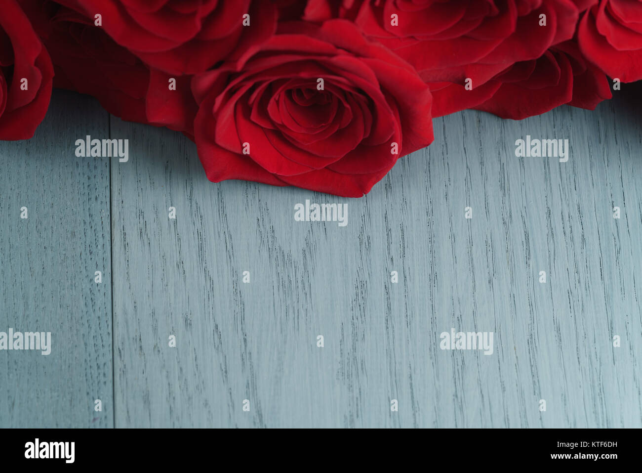 red roses on light blue wood background Stock Photo