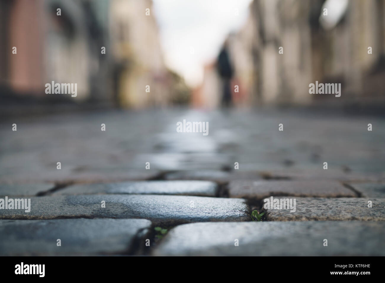 low angle closeup background of wet old pavement with blurred background Stock Photo