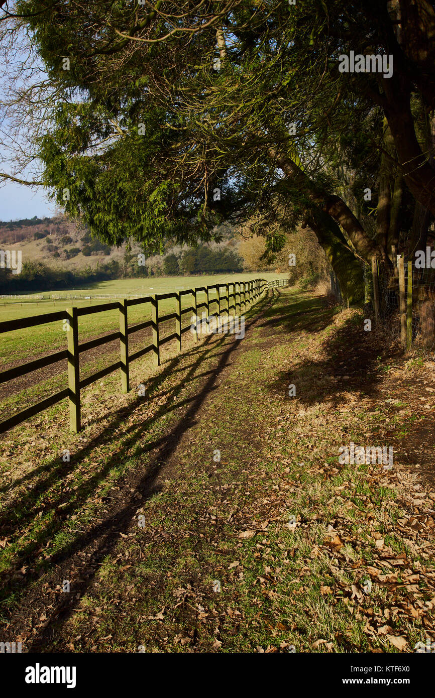 Bridle Path lined by trees and railing casting shadow on pathway Stock