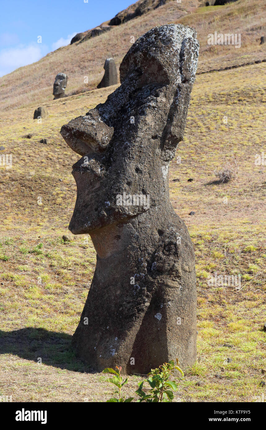 stone heads at the ancient carving site of rano raraku on easter island Stock Photo