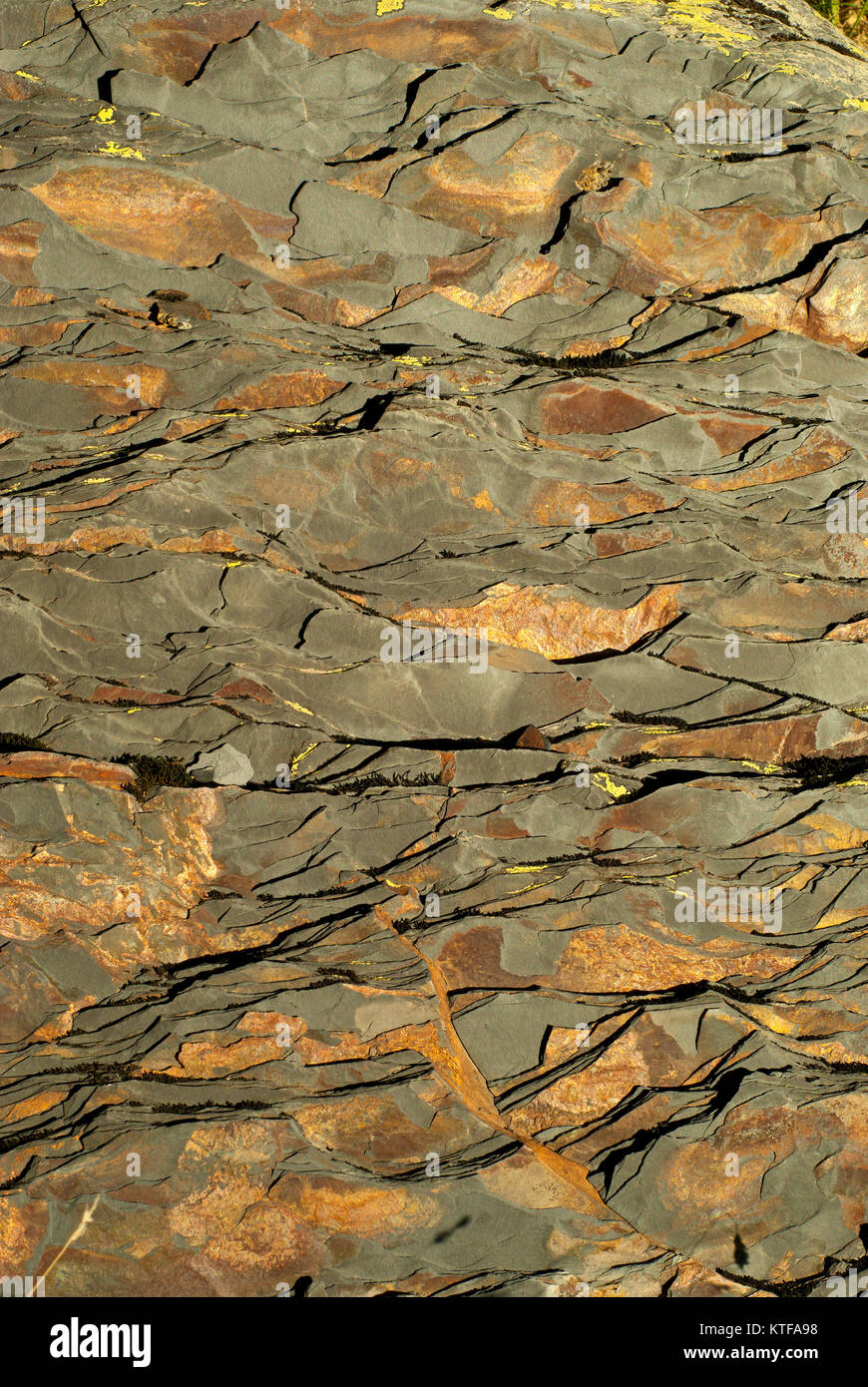 background, rock texture - dark brown natural shale with light brown spots  Stock Photo - Alamy