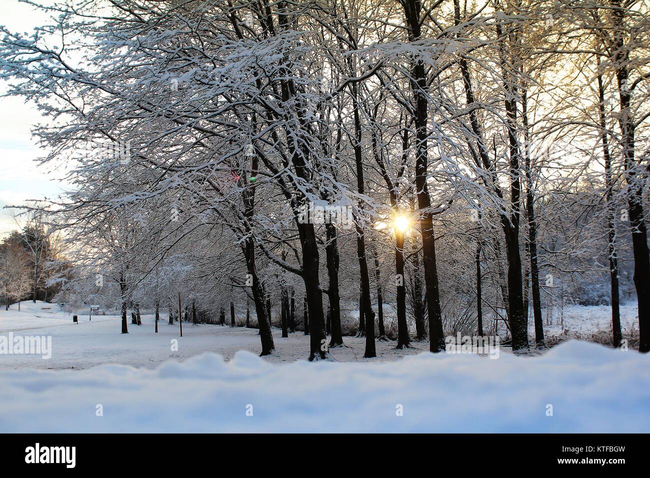 White snow in Finland Stock Photo Alamy
