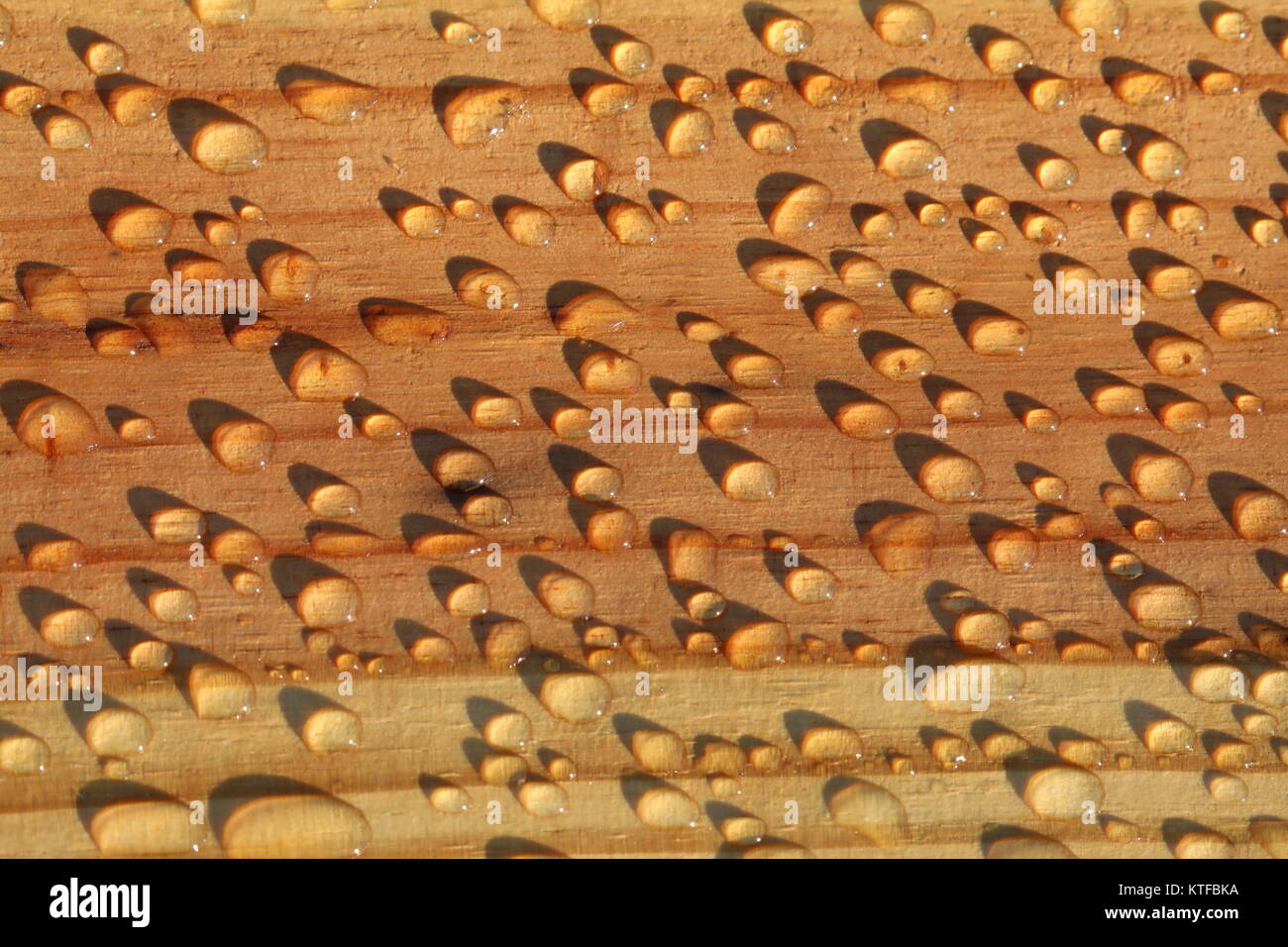 moisture beading up on dock Stock Photo Alamy