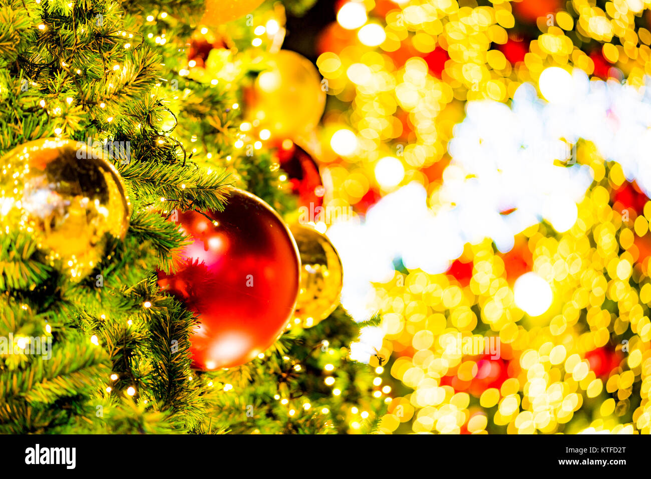 beautiful Blurred Christmas tree and festive bokeh lighting, blurred ...