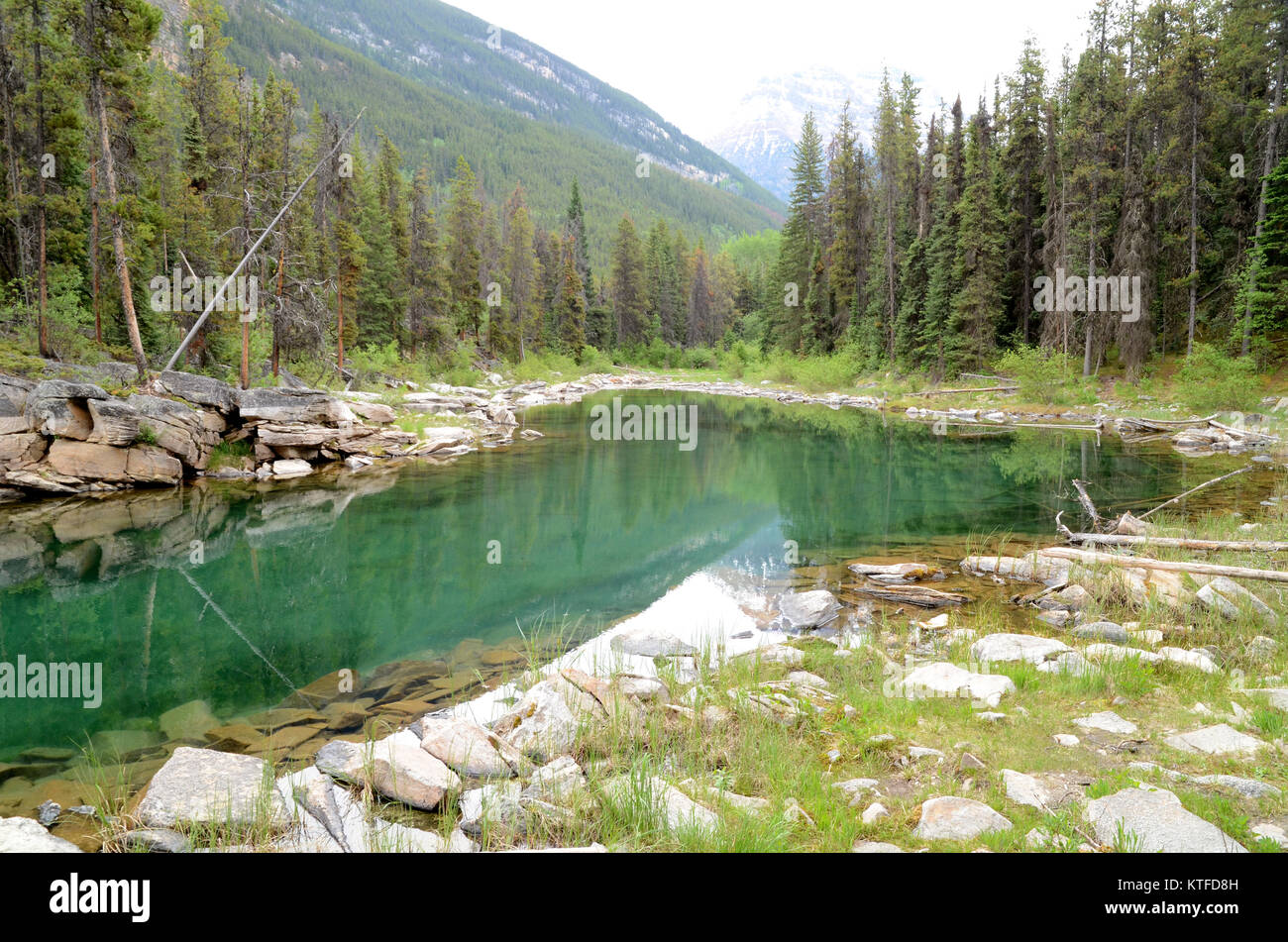 Horseshoe Lake, Jasper National Park, Canada Stock Photo Alamy
